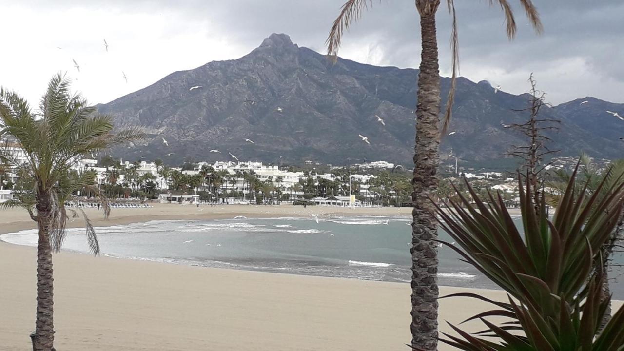 Marbella Nagueles Daire Dış mekan fotoğraf